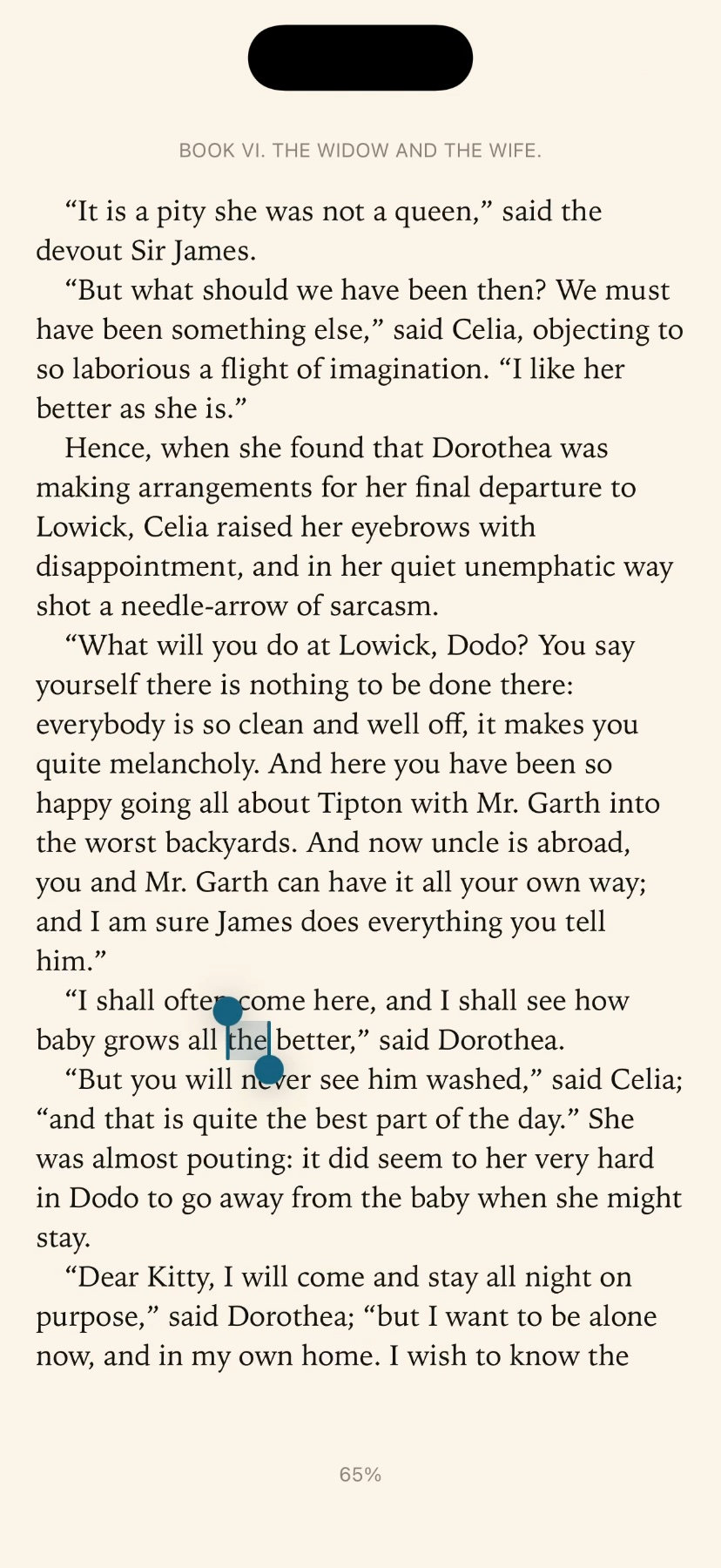 A word selected with Highlight in the menu on iPhone